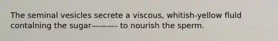 The seminal vesicles secrete a viscous, whitish-yellow fluld contalning the sugar———- to nourish the sperm.