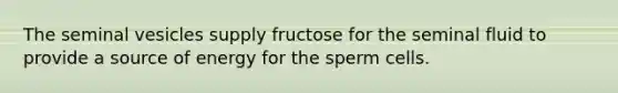 The seminal vesicles supply fructose for the seminal fluid to provide a source of energy for the sperm cells.