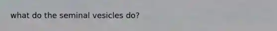 what do the seminal vesicles do?