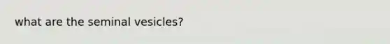 what are the seminal vesicles?