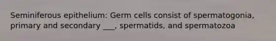 Seminiferous epithelium: Germ cells consist of spermatogonia, primary and secondary ___, spermatids, and spermatozoa