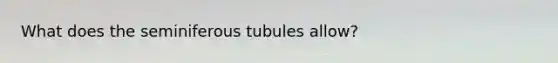 What does the seminiferous tubules allow?