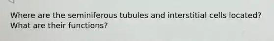 Where are the seminiferous tubules and interstitial cells located? What are their functions?