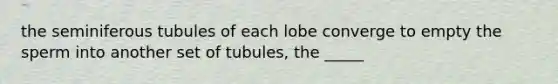 the seminiferous tubules of each lobe converge to empty the sperm into another set of tubules, the _____