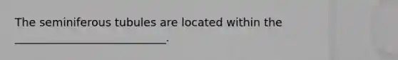 The seminiferous tubules are located within the ___________________________.