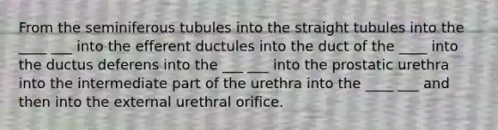 From the seminiferous tubules into the straight tubules into the ____ ___ into the efferent ductules into the duct of the ____ into the ductus deferens into the ___ ___ into the prostatic urethra into the intermediate part of the urethra into the ____ ___ and then into the external urethral orifice.