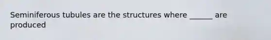 Seminiferous tubules are the structures where ______ are produced