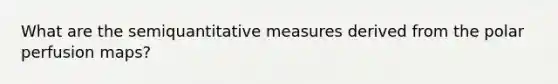 What are the semiquantitative measures derived from the polar perfusion maps?