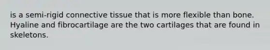 is a semi-rigid <a href='https://www.questionai.com/knowledge/kYDr0DHyc8-connective-tissue' class='anchor-knowledge'>connective tissue</a> that is more flexible than bone. Hyaline and fibrocartilage are the two cartilages that are found in skeletons.