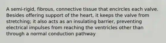 A semi-rigid, fibrous, connective tissue that encircles each valve. Besides offering support of the heart, it keeps the valve from stretching; it also acts as an insulating barrier, preventing electrical impulses from reaching the ventricles other than through a normal conduction pathway