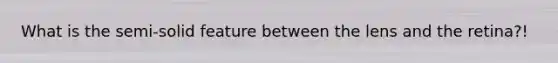 What is the semi-solid feature between the lens and the retina?!