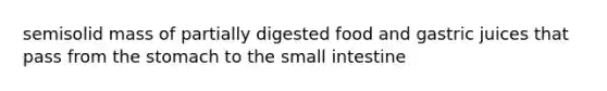 semisolid mass of partially digested food and gastric juices that pass from the stomach to the small intestine