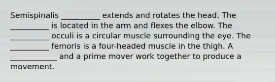 Semispinalis __________ extends and rotates the head. The __________ is located in the arm and flexes the elbow. The __________ occuli is a circular muscle surrounding the eye. The __________ femoris is a four-headed muscle in the thigh. A ____________ and a prime mover work together to produce a movement.