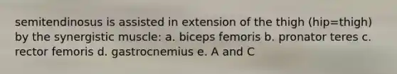 semitendinosus is assisted in extension of the thigh (hip=thigh) by the synergistic muscle: a. biceps femoris b. pronator teres c. rector femoris d. gastrocnemius e. A and C