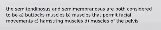 the semitendinosus and semimembranosus are both considered to be a) buttocks muscles b) muscles that permit facial movements c) hamstring muscles d) muscles of the pelvis