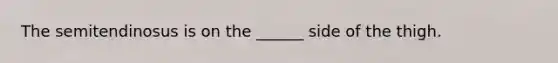 The semitendinosus is on the ______ side of the thigh.