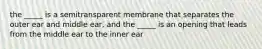 the _____ is a semitransparent membrane that separates the outer ear and middle ear, and the _____ is an opening that leads from the middle ear to the inner ear