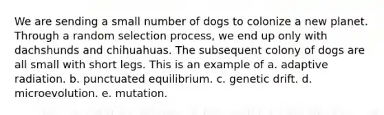 We are sending a small number of dogs to colonize a new planet. Through a random selection process, we end up only with dachshunds and chihuahuas. The subsequent colony of dogs are all small with short legs. This is an example of a. adaptive radiation. b. punctuated equilibrium. c. genetic drift. d. microevolution. e. mutation.