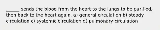 ______ sends <a href='https://www.questionai.com/knowledge/k7oXMfj7lk-the-blood' class='anchor-knowledge'>the blood</a> from <a href='https://www.questionai.com/knowledge/kya8ocqc6o-the-heart' class='anchor-knowledge'>the heart</a> to the lungs to be purified, then back to the heart again. a) general circulation b) steady circulation c) systemic circulation d) pulmonary circulation