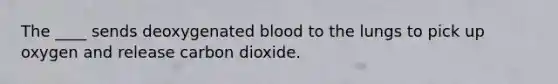 The ____ sends deoxygenated blood to the lungs to pick up oxygen and release carbon dioxide.