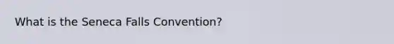 What is the Seneca Falls Convention?