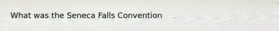 What was the Seneca Falls Convention