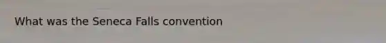 What was the Seneca Falls convention