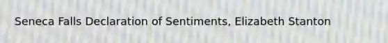 Seneca Falls Declaration of Sentiments, Elizabeth Stanton