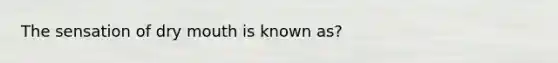 The sensation of dry mouth is known as?
