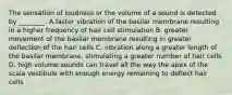 The sensation of loudness or the volume of a sound is detected by ________. A.faster vibration of the basilar membrane resulting in a higher frequency of hair cell stimulation B. greater movement of the basilar membrane resulting in greater deflection of the hair cells C. vibration along a greater length of the basilar membrane, stimulating a greater number of hair cells D. high volume sounds can travel all the way the apex of the scala vestibule with enough energy remaining to deflect hair cells