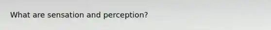 What are sensation and perception?