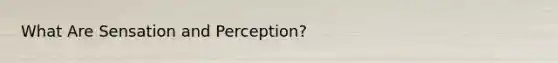 What Are Sensation and Perception?