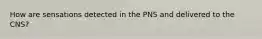 How are sensations detected in the PNS and delivered to the CNS?