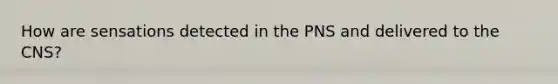 How are sensations detected in the PNS and delivered to the CNS?