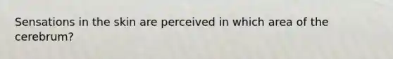 Sensations in the skin are perceived in which area of the cerebrum?