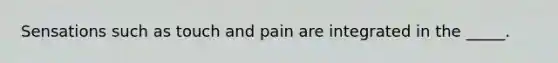 Sensations such as touch and pain are integrated in the _____.