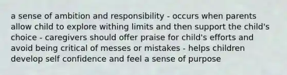 a sense of ambition and responsibility - occurs when parents allow child to explore withing limits and then support the child's choice - caregivers should offer praise for child's efforts and avoid being critical of messes or mistakes - helps children develop self confidence and feel a sense of purpose