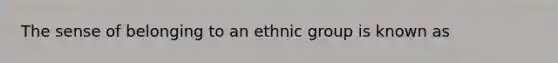 The sense of belonging to an ethnic group is known as