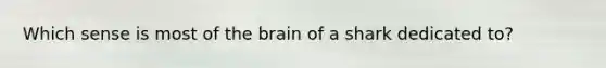 Which sense is most of the brain of a shark dedicated to?