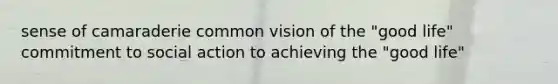 sense of camaraderie common vision of the "good life" commitment to social action to achieving the "good life"