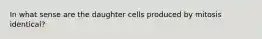 In what sense are the daughter cells produced by mitosis identical?