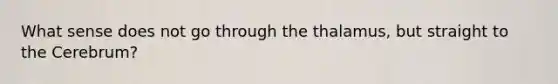 What sense does not go through the thalamus, but straight to the Cerebrum?