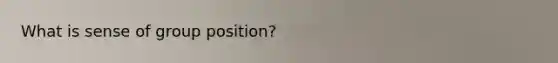 What is sense of group position?