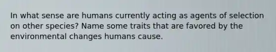 In what sense are humans currently acting as agents of selection on other species? Name some traits that are favored by the environmental changes humans cause.