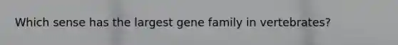 Which sense has the largest gene family in vertebrates?