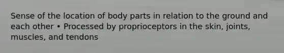 Sense of the location of body parts in relation to the ground and each other • Processed by proprioceptors in the skin, joints, muscles, and tendons