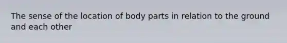 The sense of the location of body parts in relation to the ground and each other