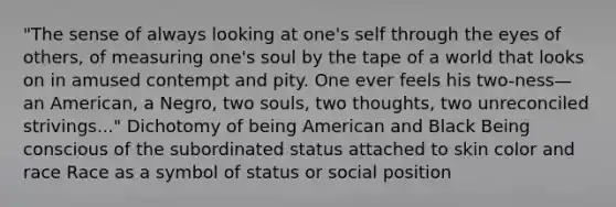 "The sense of always looking at one's self through the eyes of others, of measuring one's soul by the tape of a world that looks on in amused contempt and pity. One ever feels his two-ness—an American, a Negro, two souls, two thoughts, two unreconciled strivings..." Dichotomy of being American and Black Being conscious of the subordinated status attached to skin color and race Race as a symbol of status or social position