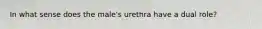 In what sense does the male's urethra have a dual role?