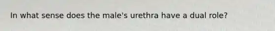 In what sense does the male's urethra have a dual role?